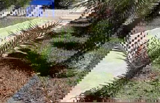 Les Vagues Bleues - Photo 20