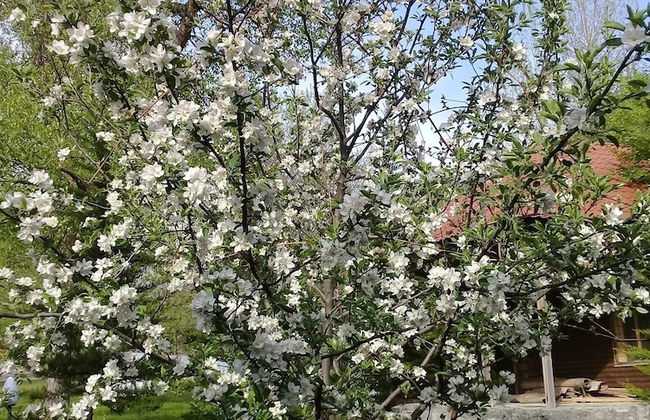 Kish Adasi - Kish Island - Foto 22