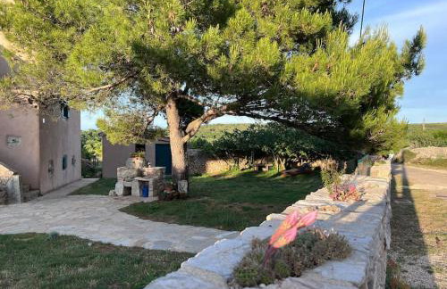 Holiday Apartment - Foto 3