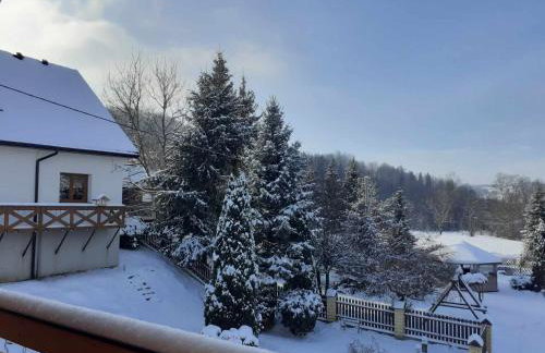 Agroturystyka Jagodowa Róża - Maria Farganus - Foto 33