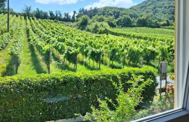 3 BR BURGPANORAMA Wohnung im Haus Frey mit Ausblick, 2 Bäder, Parken vor dem Haus, Balkon, Küche - Foto 18