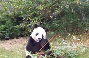 La Colardine - Foto 2