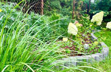 Madi Apartamenty - Photo 24