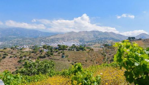 Finca Los Pinos Cómpeta by Ruralidays - Foto 4, Other