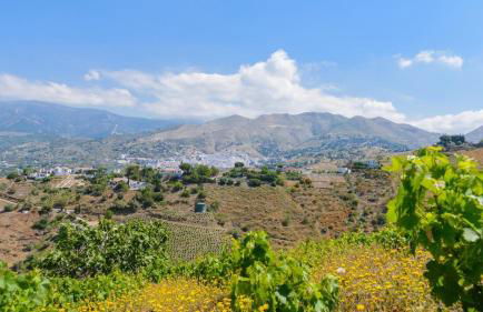 Finca Los Pinos Cómpeta by Ruralidays - Foto 4