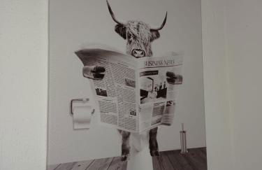 Wohnung 1 Tollgauer - Foto 7