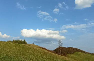 Raj pod lasem - Foto 26