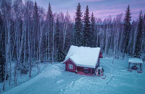 Northern Lights Log House w/ Sauna - Foto 25