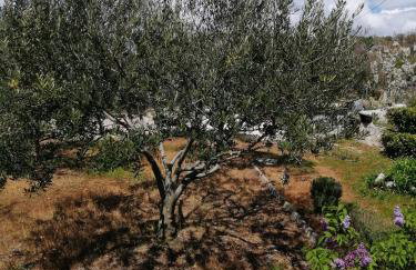 Apartman Luis Silence - Foto 18