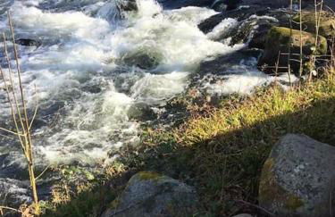 Stunning 3 Bed Riverside Cabin in Snowdonia - Photo 27