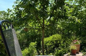 Ferienwohnung Pfalzblick - Photo 6