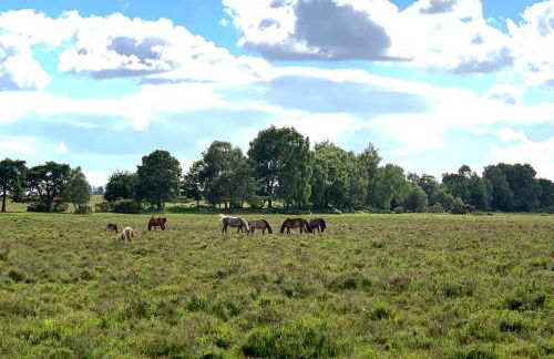 Cosy & Central Brockenhurst Flat, 2BR - Foto 26