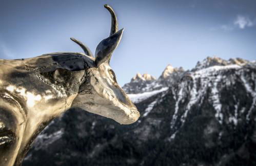 Chalet La Renarde - Photo 22