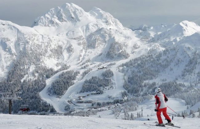 Queitly Located Chalet near Resort Center of Nassfeld - Foto 33