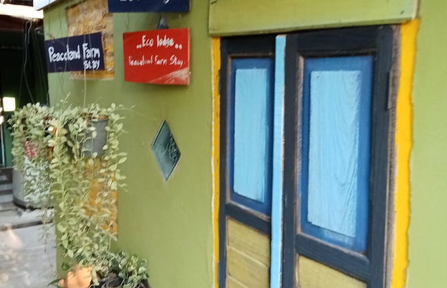 peaceland farmstay - Photo 18