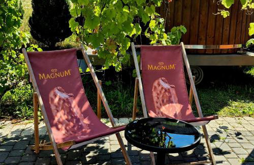 Noclegi "LAS WYPAS" Trzcianka - Foto 6