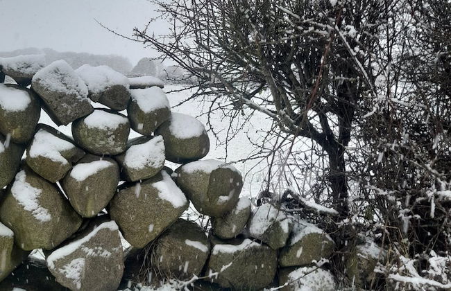 Ballykeel Farm - Foto 23