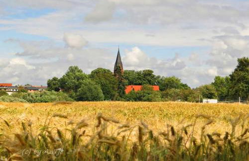 Bungalow mit Kamin in Ribnitz-Damgarten - Foto 12