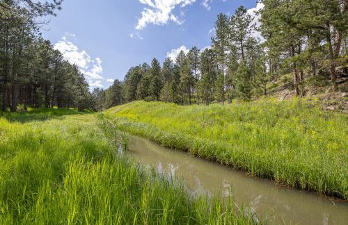 Custer Gem - Foto 48