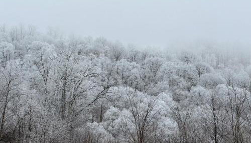 Appalachian Hideaway - Foto 5