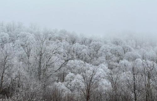 Appalachian Hideaway - Foto 5