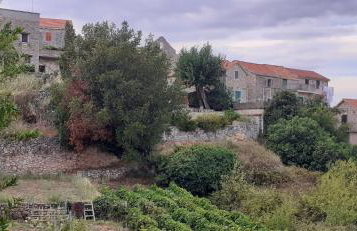 Heritage Apartments Kyra & Fox in Pitve, Hvar - Photo 18