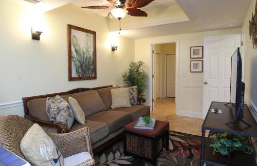 2 Bedroom Apt Overlooking Dunedin Town Square NO KIDS, NO PETS - Photo 39
