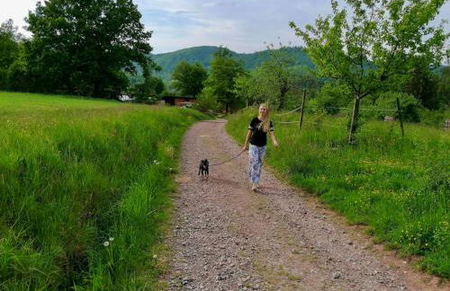 Ferienwohnung an der Kapelle - Photo 32