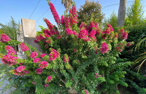 Alto Giardino - Foto 41