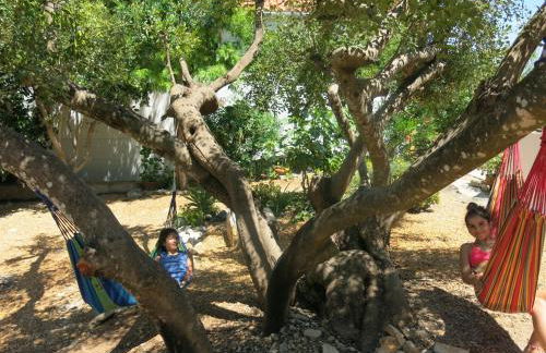 Luxury Casa da Fonte - Private Heated Salt Pool - Foto 23