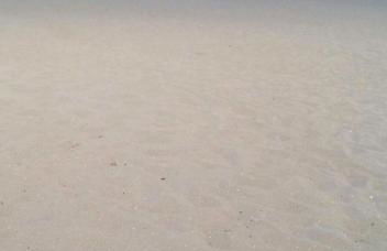 TERRA ROSSA casa di campagna con piscina 2 camere da letto, 4 pl, si animali da compagnia - Foto 48