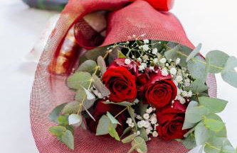 Best Villas - Park Ofir - Foto 47