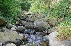 Ca La Roseta - Foto 22