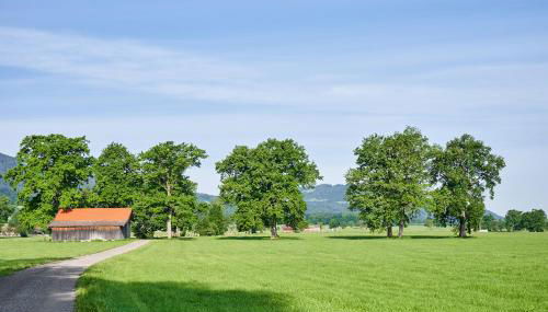 Ferienwohnung Wallner - Foto 5