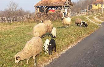 Vila Bella Vista - Foto 34