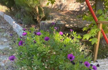 Quinta da Mal-disposta, cabin lodge Countryhouse - Foto 52