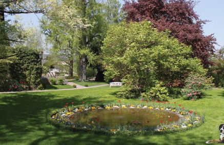 Unterkunft im Weingut Fitz-Ritter - Foto 6