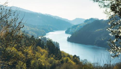 Casa São Miguel Arcanjo - Foto 4