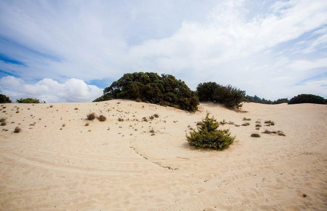 Alyko Villas - Photo 45