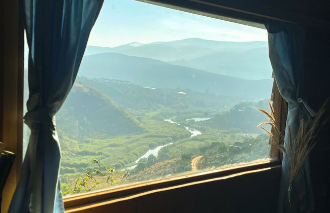 Midori Coffee Farm - Photo 9