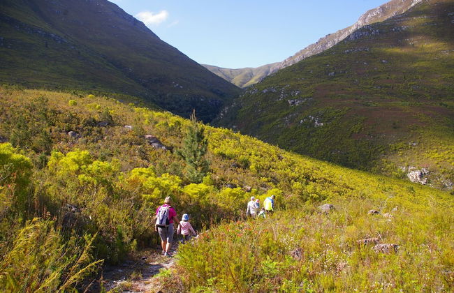 Oudebosch Guest Farm - Foto 24