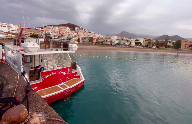 Los Cristianos Whale + Dolphin Watching Boat Tour - Photo 3