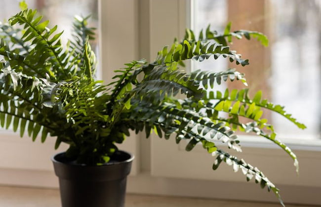 Warsaw Pruszków Apartment by Renters - Photo 23