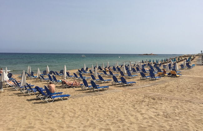 Windmill Apartments 2 - Photo 24