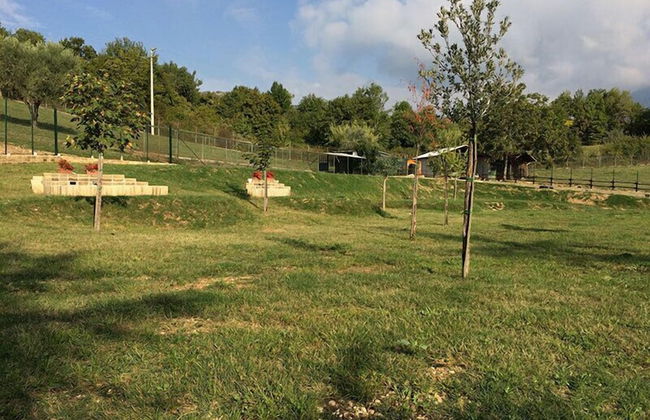 Agriturismo Tenuta del Daino - Photo 32