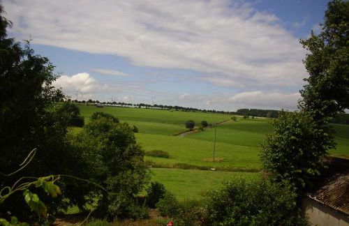 Willekes Blütenhof - Foto 8