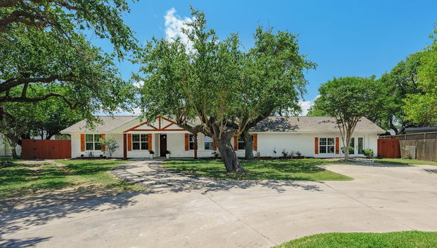 Reel Blessing by Miss Kitty’s - Foto 4, Servicios del alojamiento