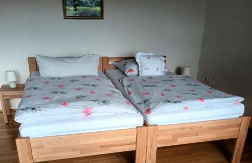 Büdingen-Ferienwohnung Bausch - Foto 3