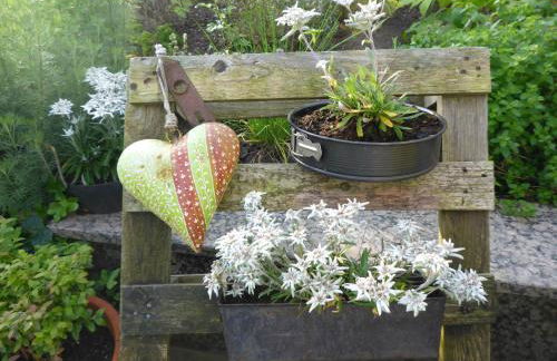 Ferienwohnung Sunnenviul - Foto 19