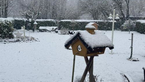 Studio mit Blick ins Grüne - Foto 2
